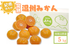 【先行予約】紀南育ちの完熟温州みかん  5㎏※11月下旬～12月頃に順次発送予定【期間限定:2024/12/15まで】/ 田辺市 よってって みかん 温州みかん 完熟温州みかん【prs005】