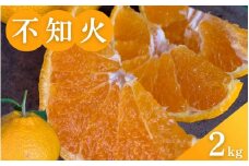 【期間限定・2024/3/20まで】不知火　2kg※3月中旬頃から順次発送※ / 和歌山県 しらぬい フルーツ くだもの 果物 柑橘 田辺市【ike010】