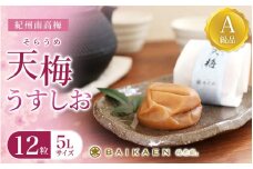 紀州南高梅 天梅(そらうめ)うすしお 12粒 個包装 塩分約8％ A級品 大粒5Lサイズ 木箱入り /  梅干し 梅干 うめぼし 南高梅 国産 梅 うめ ウメ 健康 ご飯のお供 贈答 贈り物 和歌山県 田辺市【bik008】