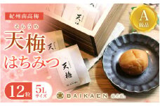 紀州南高梅 天梅(そらうめ)はちみつ 12粒 個包装 塩分約7％ A級品 大粒5Lサイズ 木箱入り /  梅干し 梅干 うめぼし 南高梅 国産 梅 うめ ウメ はちみつ梅 健康 ご飯のお供 贈答 贈り物 和歌山県 田辺市【bik007】