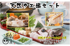 天然クエ くえ 15kg以上 厳選クエ鍋セット 500g(2～3人前）/ 和歌山 田辺 高級 くえ鍋 クエ鍋  本クエ ポン酢 ぽんず 田辺市 和歌山県 冷凍 生 海の幸【kpy014】