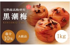 【A級品】紀州南高梅 黒潮梅 1kg 塩分10％ / 梅干し 梅干 うめぼし 南高梅 国産 梅 うめ ウメ 完熟 しそ 紫蘇 シソ かつお 鰹 カツオ 健康 ご飯のお供 昔ながら 贈り物 ギフト プレゼント お取り寄せ せんのうめ 和歌山県 田辺市 仙宝【spo004-1】