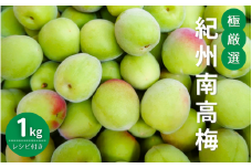極厳選　紀州南高梅（青梅）1kg ※2024年5月下旬～6月初旬頃に順次発送予定【受付期間：2024年5月20日まで】 / 和歌山 田辺市 紀州南高梅 南高梅 梅干し 梅干 梅 うめ レシピつき 梅シロップ 梅酒 【mry018】