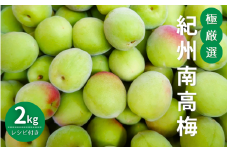 極厳選　紀州南高梅（青梅）2kg ※2024年5月下旬～6月初旬頃に順次発送予定【受付期間：2024年5月20日まで】 / 和歌山 田辺市 紀州南高梅 南高梅 梅干し 梅干 梅 うめ レシピつき 梅シロップ 梅酒 【mry019】