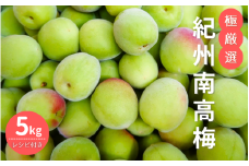 極厳選　紀州南高梅（青梅）5kg ※2024年5月下旬～6月初旬頃に順次発送予定【受付期間：2024年5月20日まで】 / 和歌山 田辺市 紀州南高梅 南高梅 梅干し 梅干 梅 うめ レシピつき 梅シロップ 梅酒 【mry021】