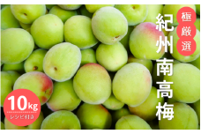 極厳選　紀州南高梅（青梅）10kg ※2024年5月下旬～6月初旬頃に順次発送予定【受付期間：2024年5月20日まで】 / 和歌山 田辺市 紀州南高梅 南高梅 梅干し 梅干 梅 うめ レシピつき 梅シロップ 梅酒 【mry022】