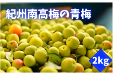 ＜先行予約＞紀州南高梅の青梅   2kg  ※2025年6月上旬以降随時発送予定 /和歌山 田辺市 紀州南高梅 南高梅 梅干し 梅干 梅 うめ 青梅 梅シロップ 梅酒【mnm007】