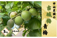 【期間限定・2025/4/30まで】中山農園の古城梅「青梅」3kg※2025年5月中旬以降随時発送予定 / 紀州 梅シロップ 梅ジュース 梅酒 和歌山県 【nak036】