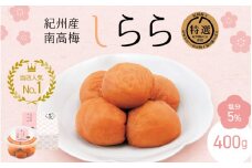 紀州産南高梅 梅干し しらら （塩分5％）400g / A級品 梅干し 梅干 梅 中田食品 和歌山 田辺 紀州南高梅 南高梅 うす塩 減塩 塩分控えめ ご飯のお供【nkt010-1】