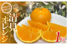 【期間限定・2025/5/15まで】清見オレンジ 1kg※2025年5月から順次発送予定※ / オレンジ きよみオレンジ きよみ 柑橘 フルーツ 果物 和歌山県 田辺市 【nak040】