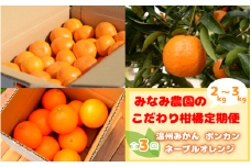 【3回定期便】【先行予約】みなみ農園のこだわり柑橘定期便（小）温州みかん・ポンカン・ネーブル　11/15まで受付 / 和歌山県 ミカン フルーツ 果物 柑橘 田辺市 みかん くだもの【mnm013-tk】
