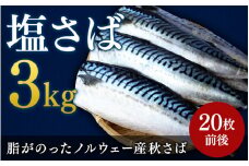 ボリュームたっぷり！ 塩さば 切り身 3kg(約20枚前後）厚切り / 鯖 切り身 フィレ サバ 焼き魚 甘塩 冷凍 おかず ご家庭用 和歌山県 田辺市【mts007-4】