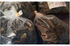 番茶　350g（70g×5袋）  / 日本茶 お茶 茶 番茶 緑茶 ヤブキタ茶 やぶきた茶 田辺市 和歌山県【nts027】