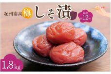 紀州南高梅 しそ漬（塩分約12％）1.8kg（600g×3）  / 紀州南高梅 南高梅 梅干し 梅干 梅 うめ 和歌山 田辺市 肉厚 お米 おにぎり 焼酎 梅酒 健康 しそ梅 産地直送【nkn024-1】