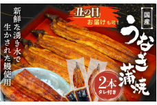 【土用の丑の日までにお届け】国産うなぎ蒲焼（２本）タレ付き /  和歌山 田辺市 国産 国産うなぎ 国産鰻 うなぎ 鰻 鰻丼 うな丼 土用の丑の日【ots016-dy】