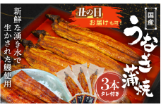 【土用の丑の日までにお届け】国産うなぎ蒲焼（3本）タレ付き / 和歌山 田辺市 国産 国産うなぎ 国産鰻 うなぎ 鰻 鰻丼 うな丼 土用の丑の日【ots017-dy】