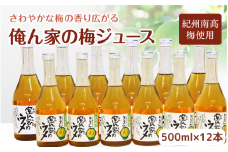 俺ん家の梅ジュース500ml×12本セット / 和歌山 和歌山県産 田辺市 紀州南高梅 南高梅 梅 梅ジュース なつかしい【ktr017-1】