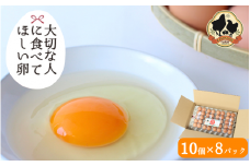 大切な人に食べてほしい卵 10個入×8パック【冷蔵配送】 / 田辺市 卵 たまご 鶏卵 平飼い お取り寄せ 卵かけごはん 和歌山県【kag002】