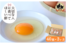 【3カ月定期便】大切な人に食べてほしい卵　40個×3回【冷蔵配送】 / 田辺市 卵 たまご 鶏卵 平飼い お取り寄せ 卵かけごはん 和歌山県【kag009-tk】