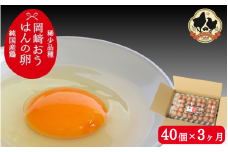 【3カ月定期便】希少品種　岡崎おうはんの卵 40個×3回【冷蔵配送】 / 田辺市 卵 たまご 有精卵 純国産鶏 鶏卵 平飼い お取り寄せ 卵かけごはん 和歌山県【kag010-tk】