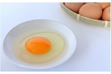 【5カ月定期便】こだわり卵 3種食べ比べセット 80個×5回【冷蔵配送】 / 岡崎おうはん 純国産鶏 卵 たまご 鶏卵 食比べ 詰め合わせ 平飼い 紅花 お取り寄せ 卵かけごはん 和歌山県 田辺市【kag013-tk】
