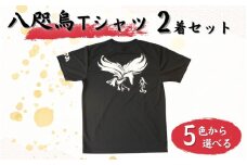 八咫烏Tシャツ 2着セット / 和歌山 田辺市 本宮 熊野本宮大社 八咫烏 やたがらす 服 ティーシャツ 日用品 雑貨【ptl007】