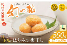 幻の梅 500g (粒2L/約30粒) <はちみつ梅干/塩分5％> / 梅干し 梅干 紀州南高梅 南高梅 梅 和歌山 田辺 はちみつ 蜂蜜 減塩 5％ 塩分控えめ ご飯のお供 幻【okh002】