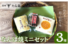 なんば焼ミニセット　 なんば焼き小 ごぼう巻小 キクラゲ小 / なんば焼 かまぼこ 蒲鉾 ごぼう巻 おつまみ セット お取り寄せ ギフト 和歌山 田辺市【tnu009】