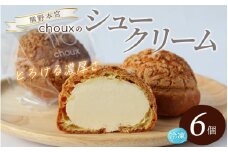 【数量限定】chouxのシュークリーム 6個 / シュークリーム デザート スイート おやつ 冷凍配送 個包装 お取り寄せ ギフト 贈答品  本宮大社 田辺市 和歌山 【oux001】