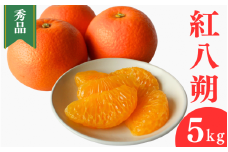 ＜先行予約＞紅八朔【秀品】5kg ※2026年2月中旬～3月中旬頃に順次発送予定【期間限定・数量限定】 / はっさく ハッサク 柑橘 季節限定 お取り寄せ 産地直送 贈答品 ギフト 果物 フルーツ 田辺市 和歌山県【ymh003-1】