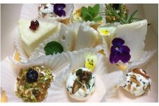 Yagi Cheese  Special Box / チーズ トッピング  山羊 ヤギ  和歌山県 田辺市【dal006】