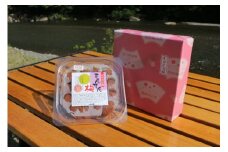紀州南高梅　まんてんの梅干800g (200g×4) / 和歌山 田辺市 紀州 南高梅 うめ 梅 梅干し 【otm029】