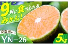 ＼先行予約／ 極早生みかん YN-26 【秀品】 5kg（サイズ混合） ※2025年9月より順次発送 / みかん ミカン 蜜柑 和歌山 早生 極早生 YN-26 温州 田辺市 紀州 くだもの 柑橘 フルーツ 【aoi002-1】