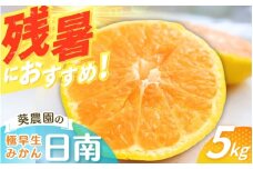 【先行予約】 【秀品】 極早生みかん 日南 5kg（サイズ混合） ※2025年10月より順次発送  / みかん ミカン 蜜柑 和歌山 早生 極早生 日南 温州 田辺市 紀州 くだもの 柑橘 フルーツ 【aoi003-1】