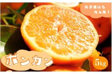 ポンカン 5kg 【秀品】 サイズ混合 ※2025年1月より順次発送 / みかん ミカン 蜜柑 ポンカン 和歌山 田辺市 紀州 くだもの 柑橘 フルーツ 【aoi004-1】