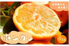 ポンカン 4kg 【秀品】 サイズ混合 ※2026年1月より順次発送 / みかん ミカン 蜜柑 ポンカン 和歌山 田辺市 紀州 くだもの 柑橘 フルーツ 【aoi004-2】