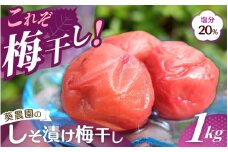 紀州南高梅 しそ漬け梅 1kg 塩分20％ 添加物不使用 / 梅 うめ ウメ  梅干し 梅干 しそ 紫蘇 シソ しそ漬け 紫蘇漬け 南高梅 紀州南高梅 和歌山県 田辺市 【aoi013】