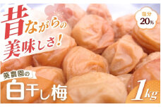 紀州南高梅 白干し南高梅干し 1kg 塩分20％ 添加物不使用 / 梅 うめ ウメ  梅干し 梅干 白干し 南高梅 紀州南高梅 和歌山県 田辺市 【aoi014-1】