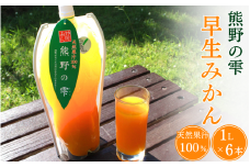 天然果汁100％ みかんジュース 熊野の雫【温州みかん（早生）】1L×6 / ミカンジュース 早生みかん 温州 生搾り 果汁100％ ストレート パウチ入 柑橘 和歌山県 田辺市【hso016】