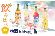 梅酒 ishigami&（イシガミアンド) 600ml×4本セット / 田辺市 梅干し 梅干 梅 うめ 梅ジュース 炭酸割り 紀州産 フルーツ【isg039-1】