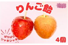 りんご飴 4個／和歌山 田辺市 スイーツ お菓子 デザート りんご飴 りんご リンゴ【yum008】