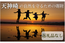 【返礼品なし】天神崎の自然を守るための寄附（寄附のみの受付となります）/ 田辺市 和歌山県 天神崎 自然 海 環境保護 【tjz006】