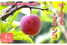 先行予約 すもも（フランコ）4kg ※6月中旬～7月中旬頃に順次発送予定【期間限定・2025/6/20まで】 / スモモ お取り寄せ 期間限定 夏 フルーツ 果物 サンタローザ 和歌山県 田辺市【mtm011】