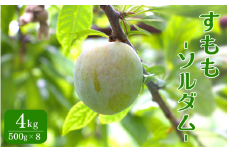 先行予約 すもも（ソルダム）4kg ※6月中旬～7月中旬頃に順次発送予定【期間限定・数量限定・2025/6/20まで】 / スモモ お取り寄せ 期間限定 夏 フルーツ 果物 和歌山県 田辺市【mtm012】