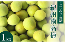 こだわり栽培の南高梅 1kg ※5月中旬～6月中旬頃に順次発送予定【期間限定・数量限定・2025/5/15まで】 / 紀州南高梅 南高梅 青梅 梅 お取り寄せ 和歌山県 田辺市【mtm014】