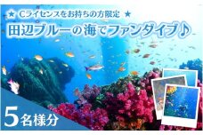 【和歌山 田辺・ファンダイブ／2ボート】大阪から2時間で叶う！田辺ブルーの海♪　5名様 ★Cライセンスお持ちの方限定★ / ダイビング スキューバダイビング ファンダイビング マリンスポーツ 体験 旅行 観光 レジャー アウトドア サンゴ 熱帯魚 水中 癒し 【tds001-5】