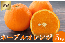 ＜先行予約＞ネーブルオレンジ【秀品】5kg ※2026年3月上旬～4月上旬頃に順次発送予定【期間限定・数量限定】 / 柑橘 季節限定 お取り寄せ 産地直送 贈答品 ギフト 果物 フルーツ 田辺市 和歌山県【ymh005】