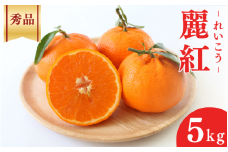 ＜先行予約＞麗紅【秀品】5kg ※2026年2月下旬～3月中旬頃に順次発送予定【期間限定・数量限定】 / 柑橘 季節限定 お取り寄せ 産地直送 贈答品 ギフト 果物 フルーツ 田辺市 和歌山県【ymh006-1】