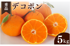 ＜先行予約＞デコポン【秀品】5kg ※2026年3月上旬～4月上旬頃に順次発送予定【期間限定・数量限定】 / 柑橘 季節限定 お取り寄せ 産地直送 贈答品 ギフト 果物 フルーツ 田辺市 和歌山県【ymh008】