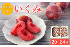 ＜先行予約＞すもも（いくみ）4パック ※2025年6月上旬～6月中旬頃に順次発送予定【期間限定・数量限定】 / スモモ プラム 冷蔵 季節限定 お取り寄せ 産地直送 贈答品 ギフト 果物 フルーツ 田辺市 和歌山県【ymh009】